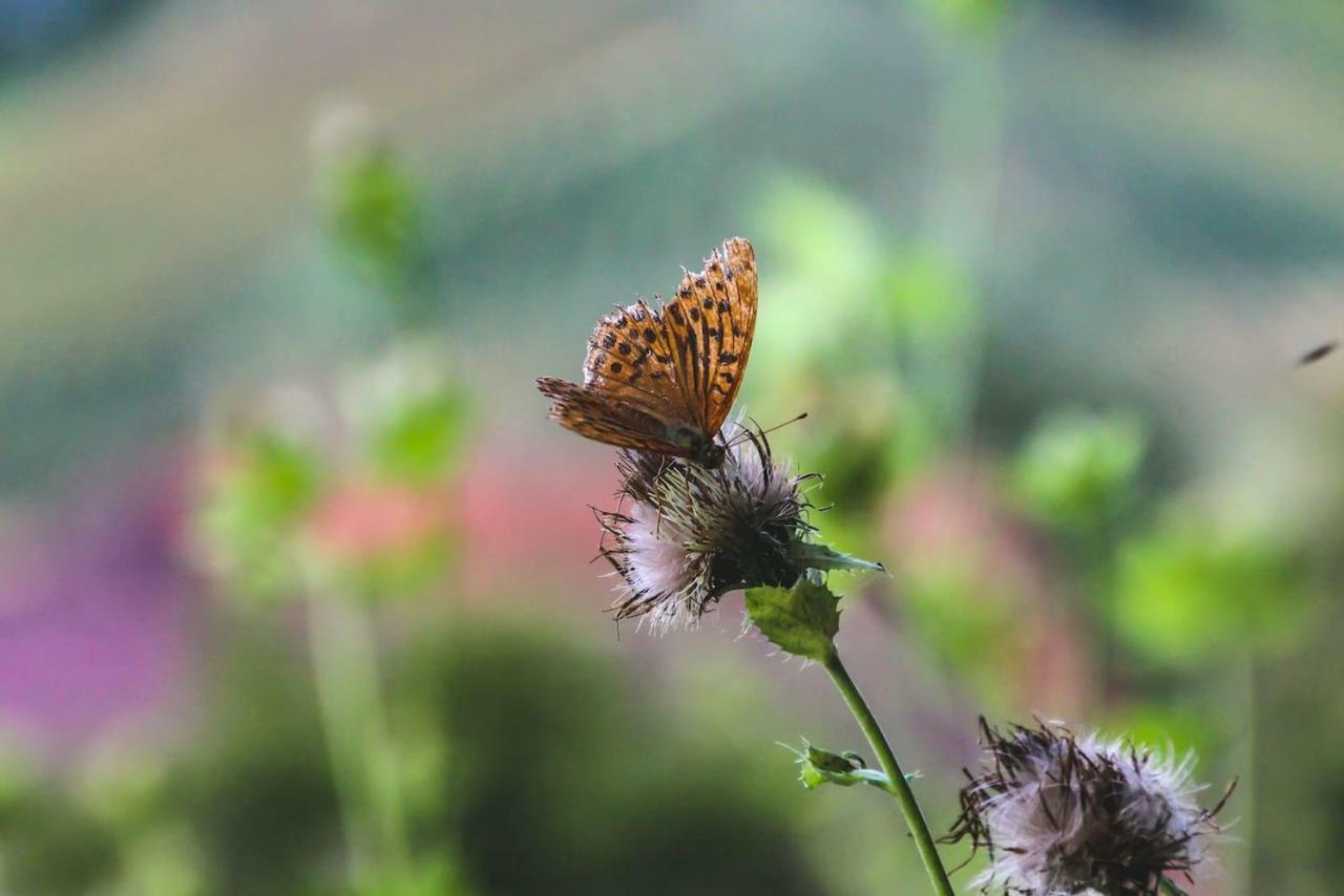 Appartamento Lackenbauer Muggenau Esterno foto