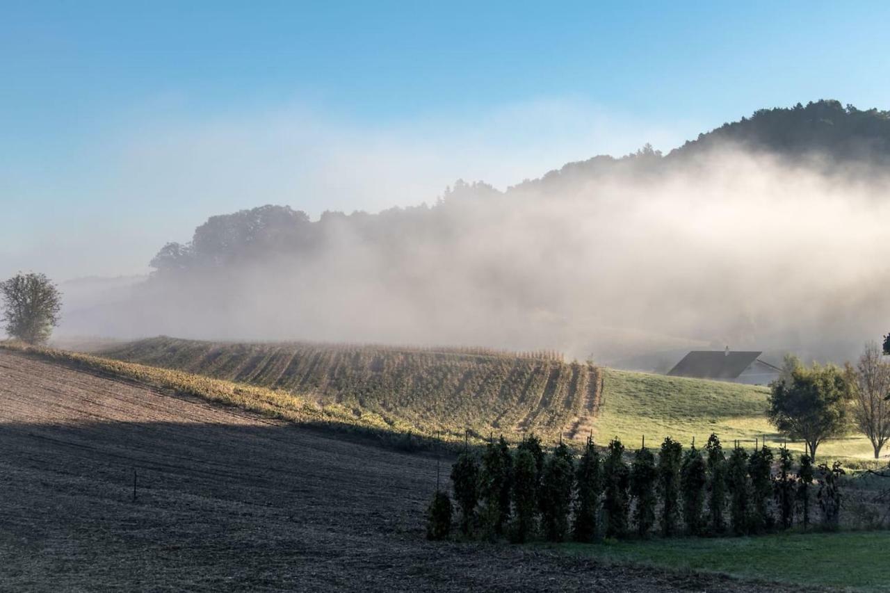 Appartamento Lackenbauer Muggenau Esterno foto