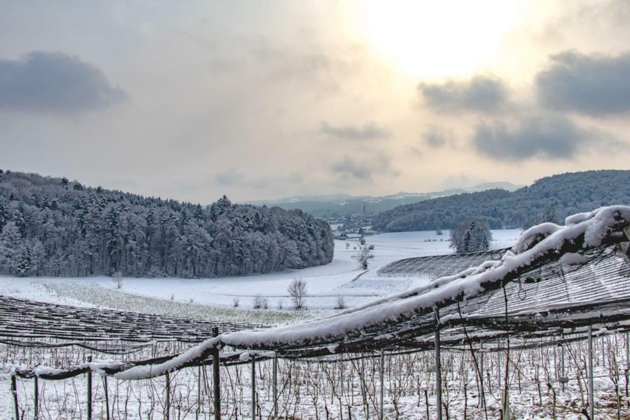 Appartamento Lackenbauer Muggenau Esterno foto